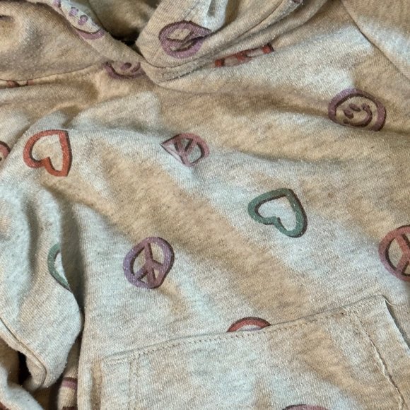 Set of two Hoodies for a Toddler--One zip-up and one pullover - Picture 2 of 6